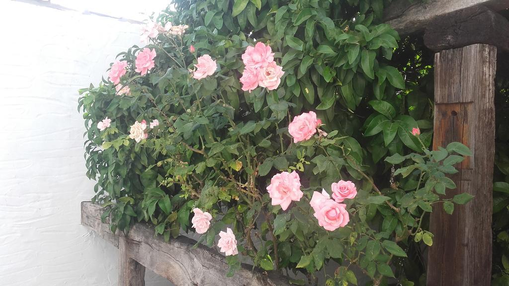 Finca El Abuelo บาร์บาเต ภายนอก รูปภาพ